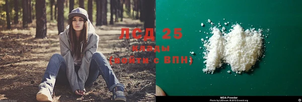 гидра Алексин
