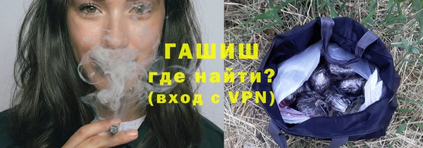 прущие грибы Алзамай