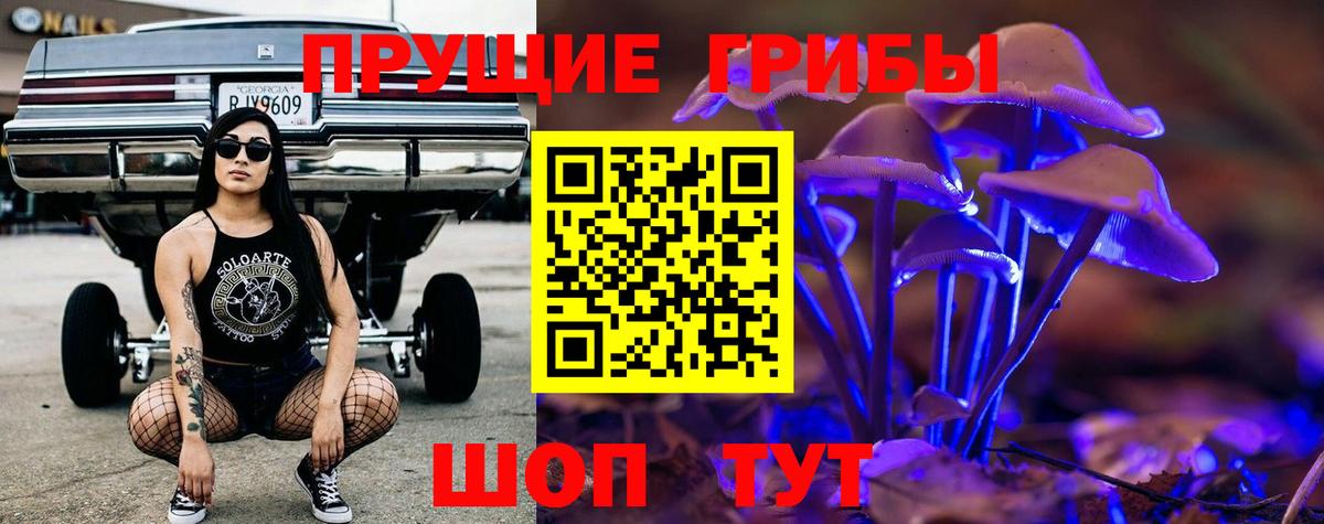 Нягань  Галлюциногенные грибы Psilocybine cubensis  Вход с VPN 